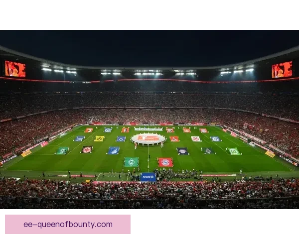 不莱梅宣布球场建设德国最大光伏板阵列引领德甲绿色能源新时代新